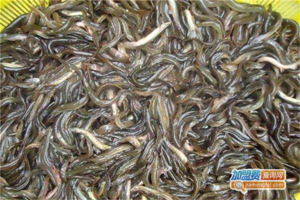 年连富养殖加盟费