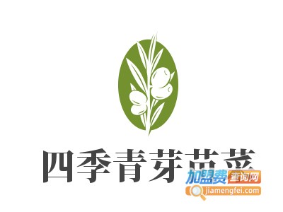 四季青芽苗菜加盟费