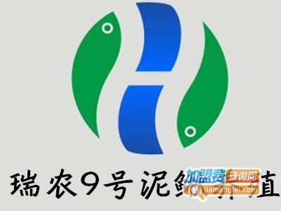 瑞农9号泥鳅养殖加盟费