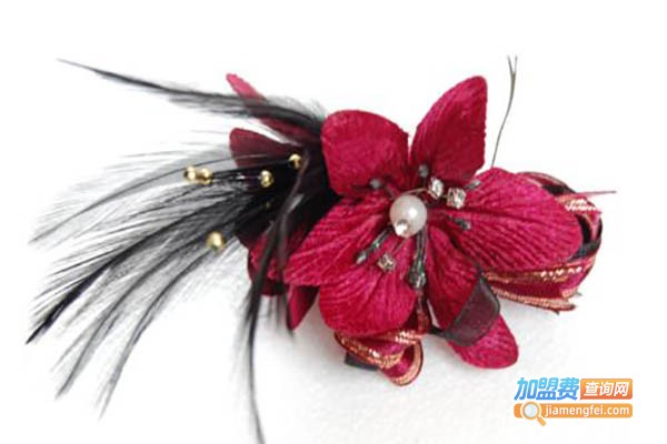 薇丽秀时尚发饰