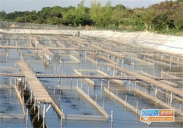 农丰8号水产养殖加盟费