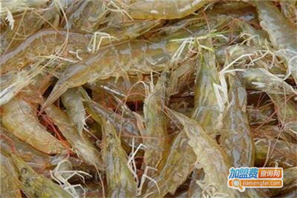 虹海隆泰南美白对虾加盟