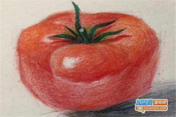 新思维画室加盟费