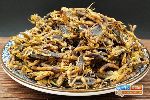 神农一号药蝎加盟费