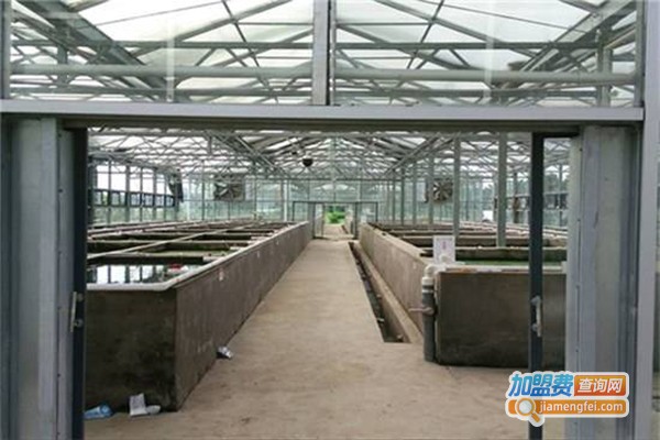 盛优6号青蛙养殖加盟费