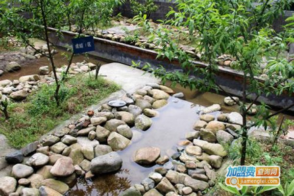 阳光养殖加盟费