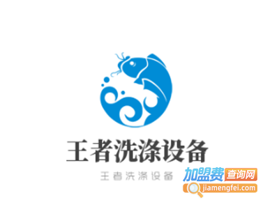 王者洗涤设备