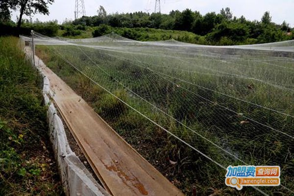 百亩田青蛙泥鳅养殖加盟费