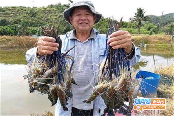 久久虾王养殖加盟费