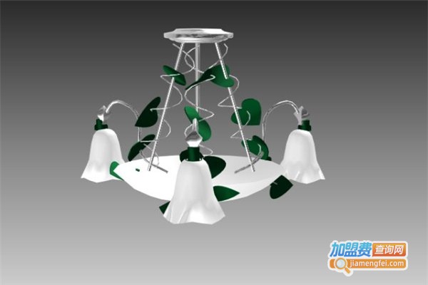 派特诺照明加盟费