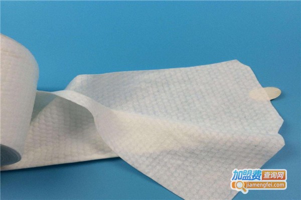 世纪靓彩湿巾加盟费