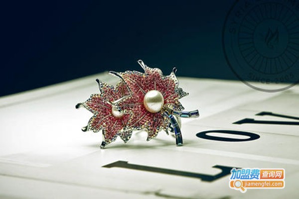 西利亚时尚发饰加盟门店