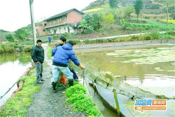 监利黄鳝养殖加盟费