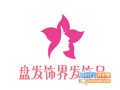 盘发饰界发饰品