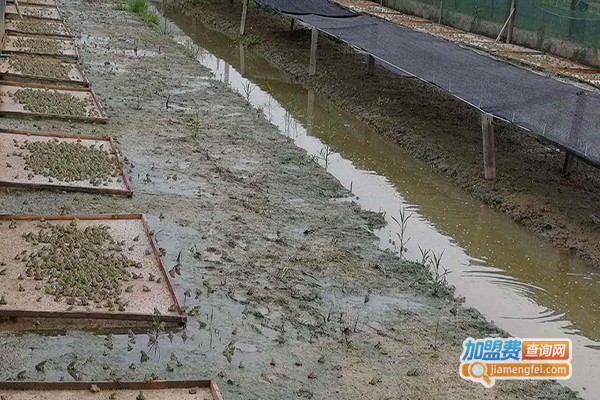 富鑫生态养殖加盟门店