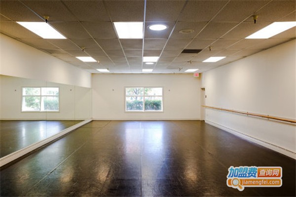 中芭艺蕾舞蹈学校加盟费