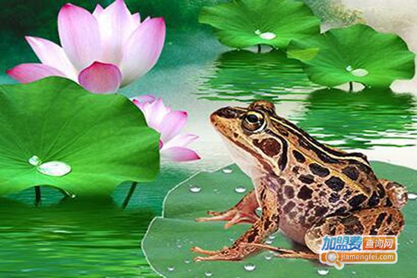 田富丰黑斑蛙加盟费