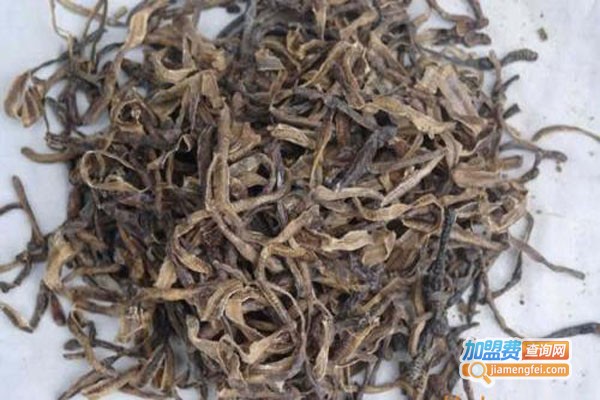 龙辉药用广蚯蚓加盟