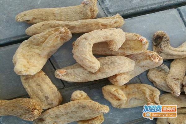 惠农源神农8号天麻加盟费