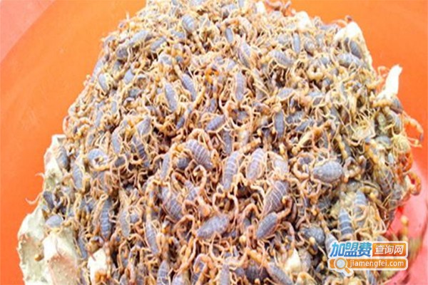 立农兴民蝎子养殖加盟费