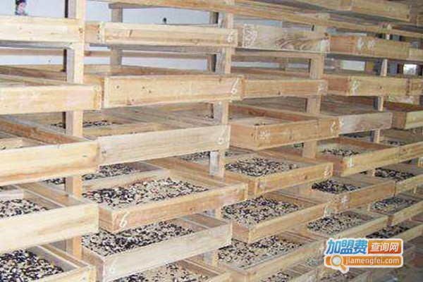 世纪鑫药用土元养殖加盟费