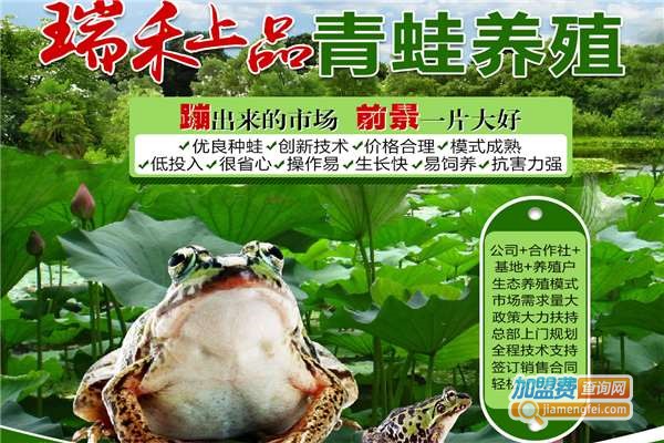 瑞禾上品青蛙养殖加盟费