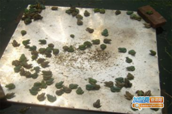 海纳百川特种养殖加盟费