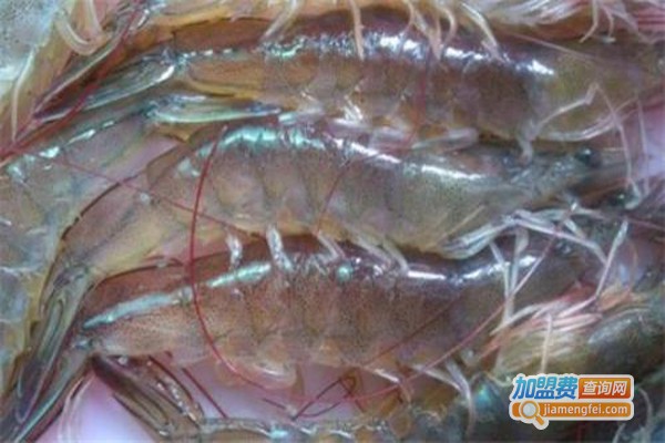 聚农湾对虾养殖加盟费