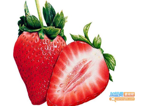兴隆草莓加盟费