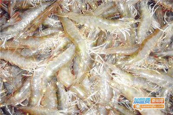 农丰虾王加盟费