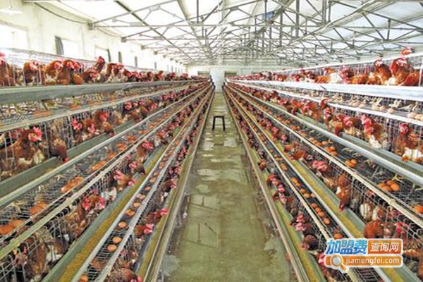 邦农养殖加盟费