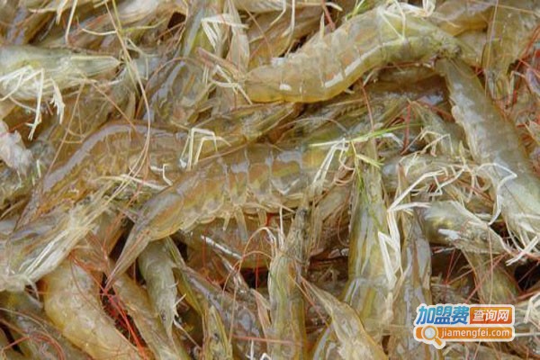 满塘鲜南美白对虾加盟