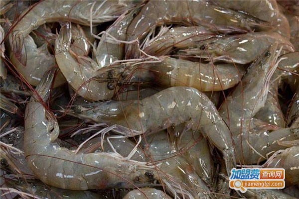 满塘鲜南美白对虾加盟