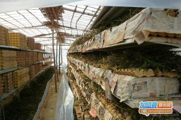 农大邦创蝎子加盟门店