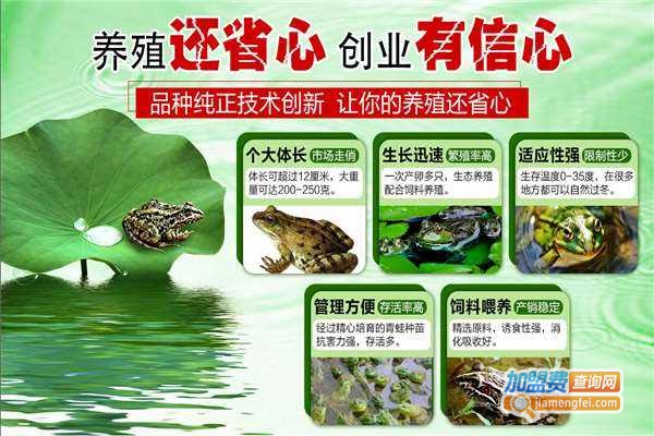 瑞禾上品青蛙养殖加盟费