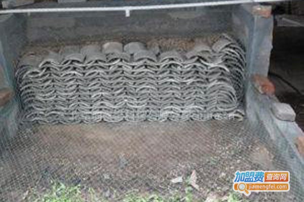 华西八号蝎子加盟