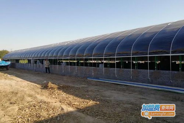 兆丰金元加盟费