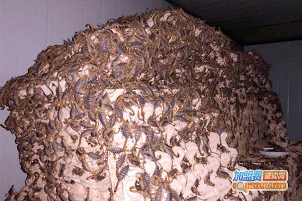 华夏药王蝎加盟