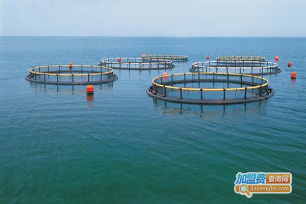 兆丰金元加盟费