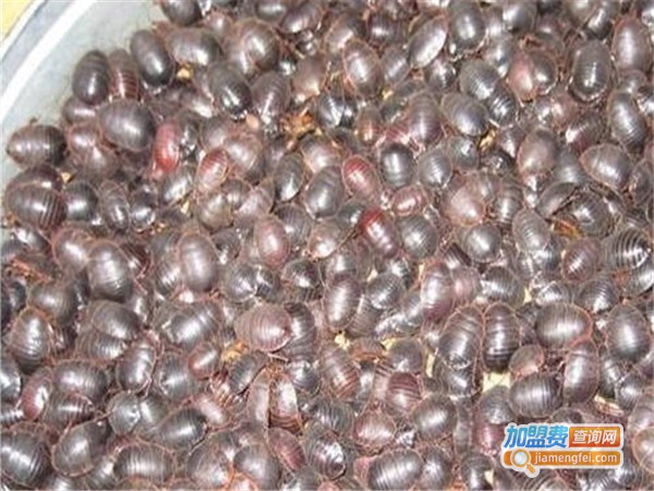 利源土元加盟门店