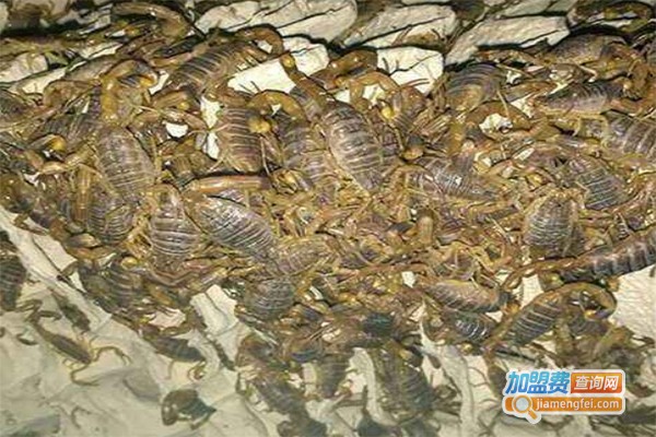 湘隆蝎子养殖加盟费