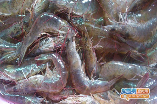 满塘鲜南美白对虾加盟