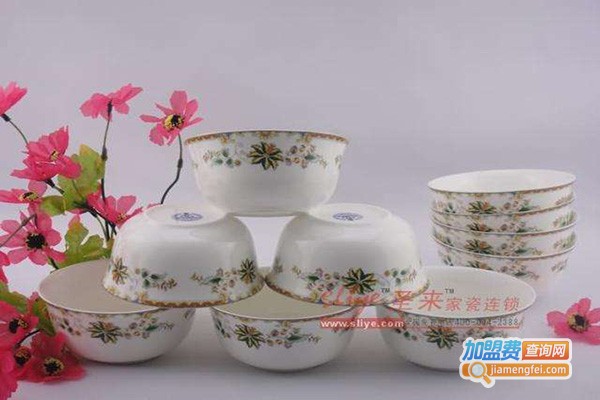 圣来家瓷生活馆加盟