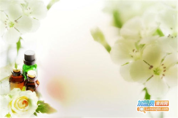 欧诺玛精油加盟费