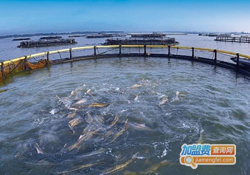 银丰水产养殖加盟费