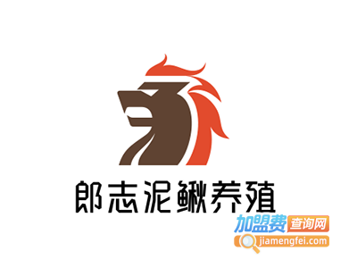 郎志泥鳅养殖加盟