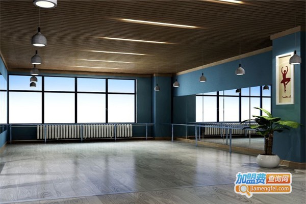 中芭艺蕾舞蹈学校加盟费