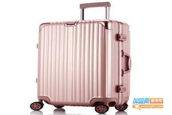 狮王斐高加盟费