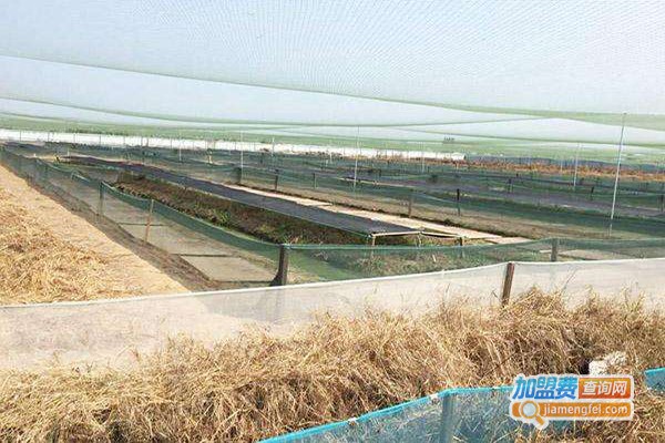 富鑫生态养殖加盟门店