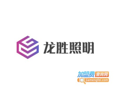 龙胜照明加盟